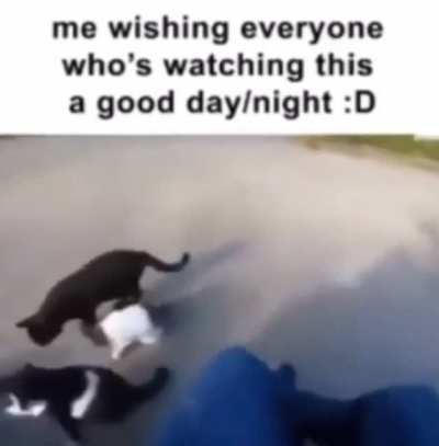 have a good day