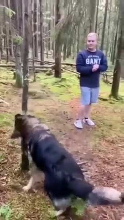 I need this stick only
