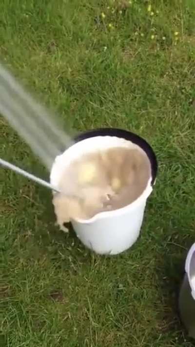 Potato peeling hack