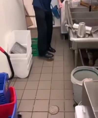 Stomp