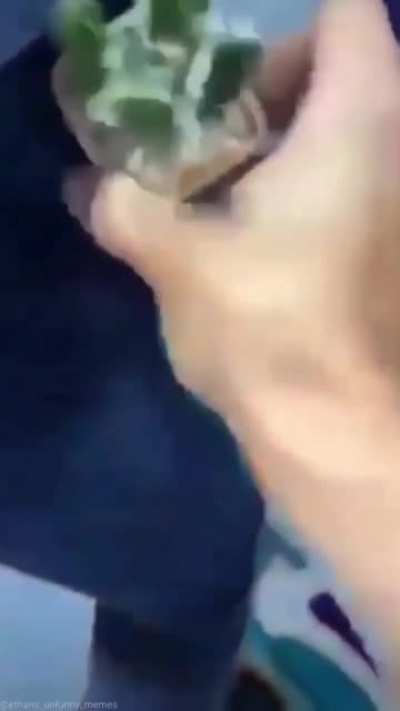 Aaaaaa