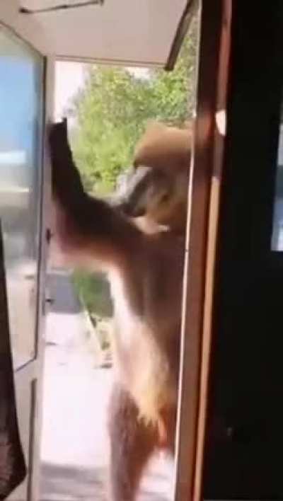 Well hello there.