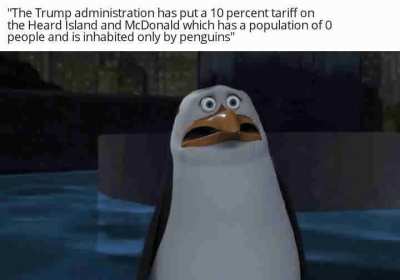 the trade war against penguins was long overdue