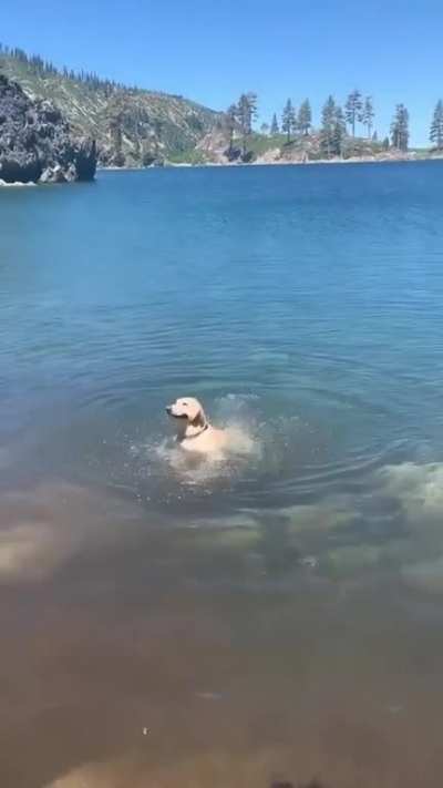 Artistic Swimmer
