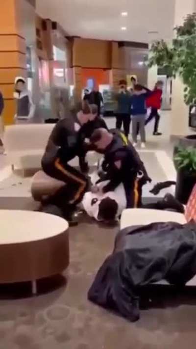 Police arrest only black kid in fight while white kid is politely seated