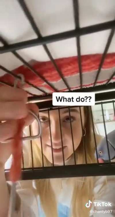 He just wants to know what she is doing