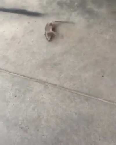 No, I don’t believe that’s ever happened to me.