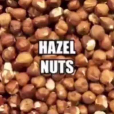Types of Nuts
