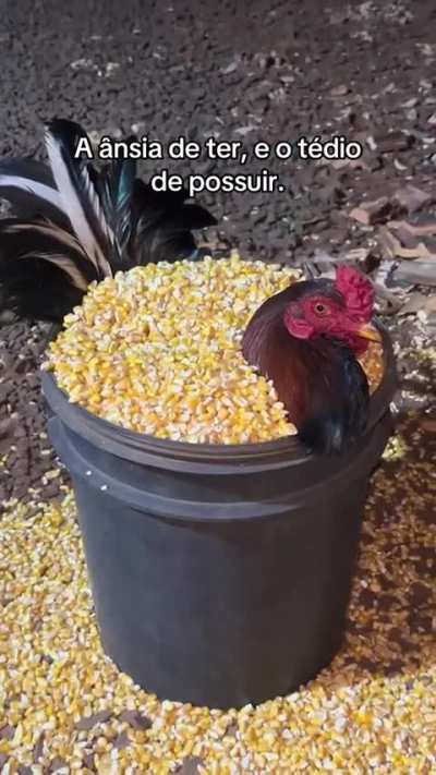Ânsia de ter