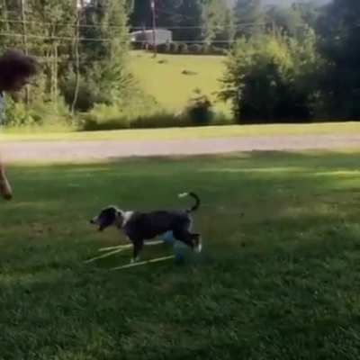 He looks so proud!