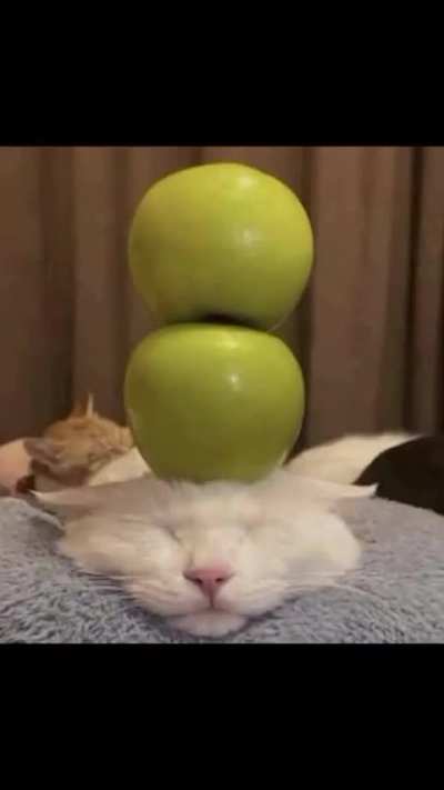 🍎
