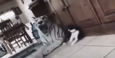 *ded*