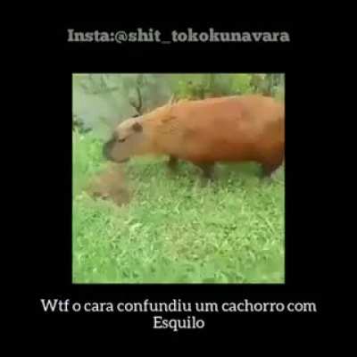 :O