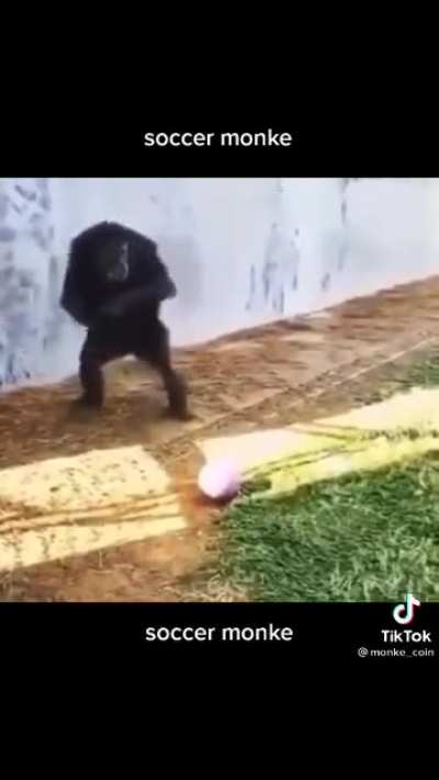 Soccer monke