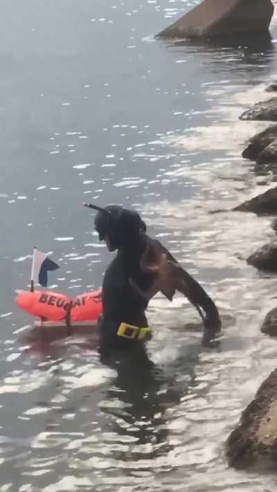 Man has an octopus stuck on his back 