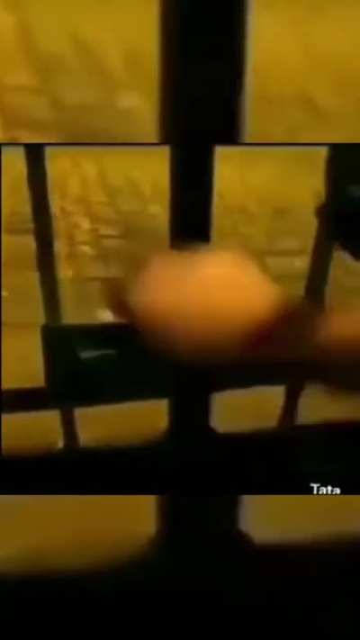 feliz natal