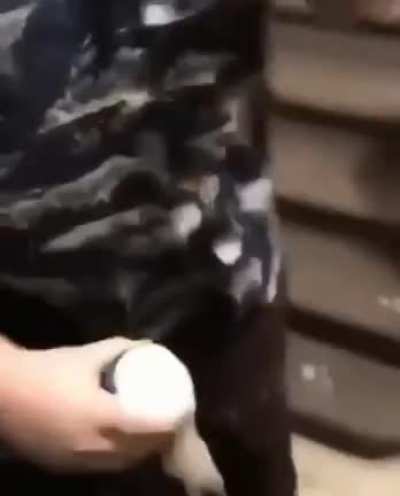 Love how he's trying to drink it while falling.