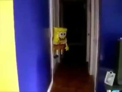What the SpongeBob doing