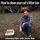 How to clean your cat's litter box