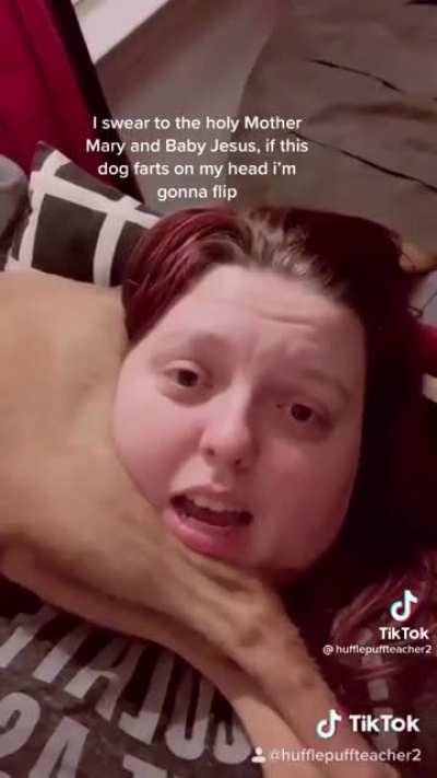 Doggo 🐶