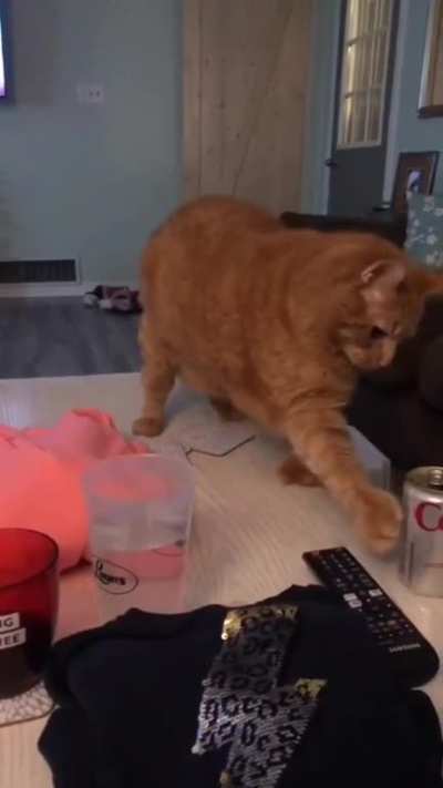 How to annoy a human