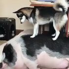 Wake. The. Hell. Up.