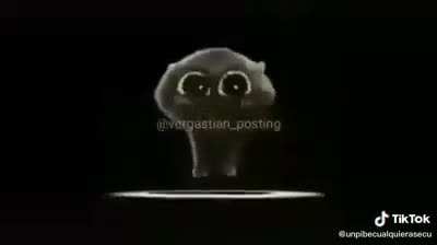 xd