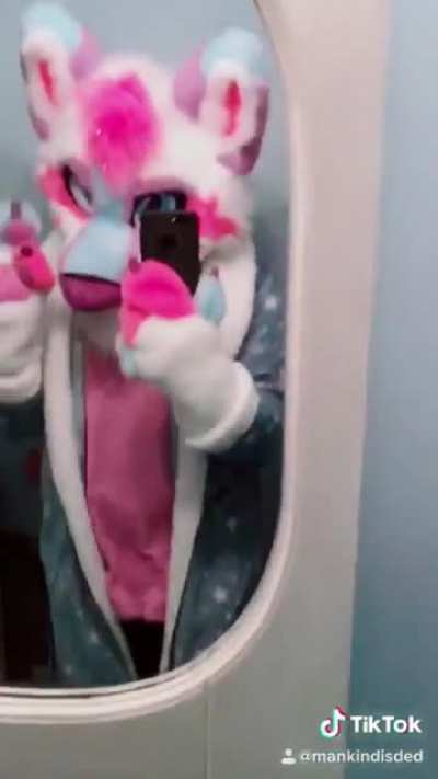 furry_irl