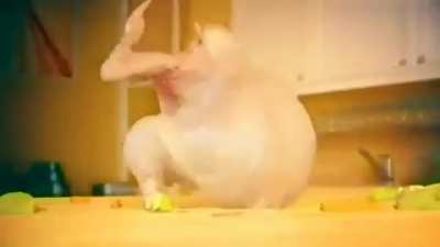 Chicken