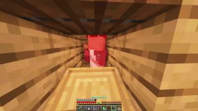 When you Accidentally Hit a Villager