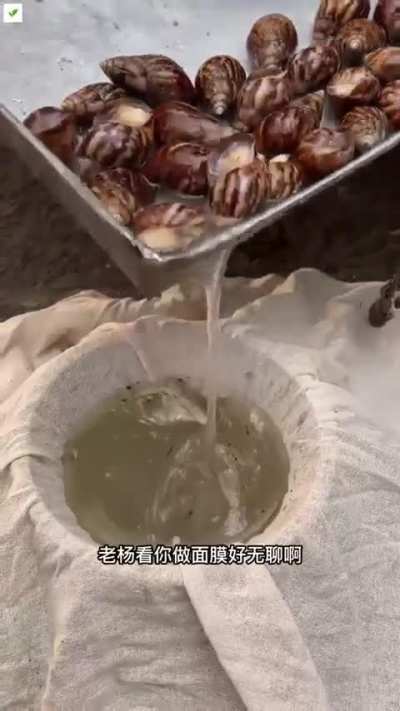 Snail semen mask