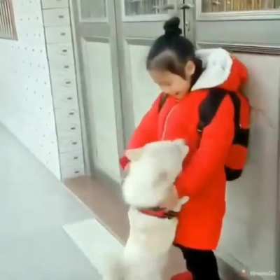 Dog is so happy after seeing his master...
