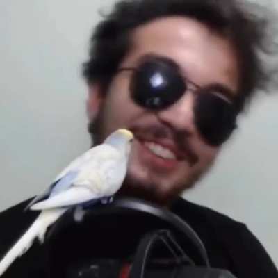 #freeporçay