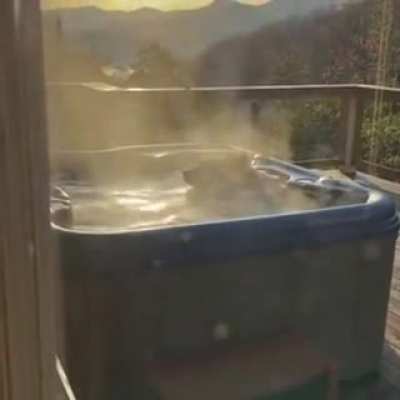 Bear takes a dip in the ol’ Jacuzzi