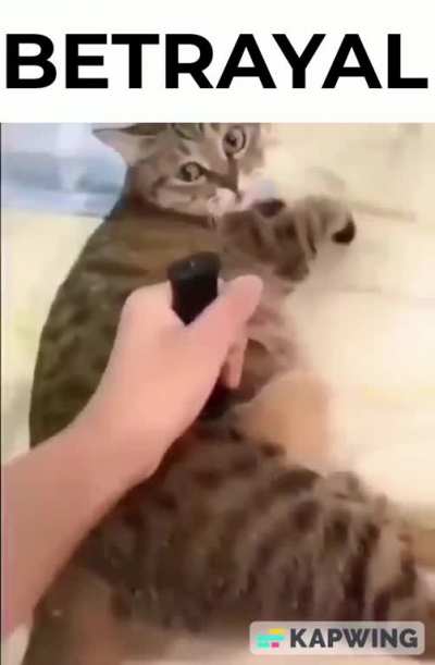 IDK.
