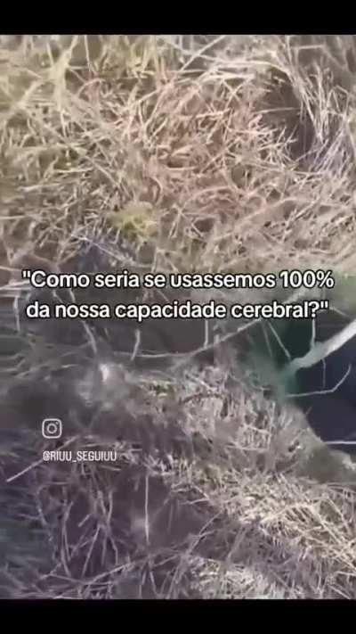 Utopia