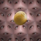 Eating a Sacred Lemon [OC]