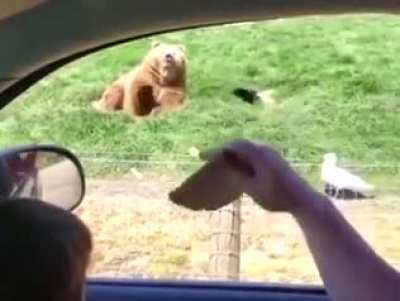 mAn tHrOwS ShArP PrOjEcTiLe aT InNoCeNt bEaR AnD SlIcEs iT'S HeAd oFf