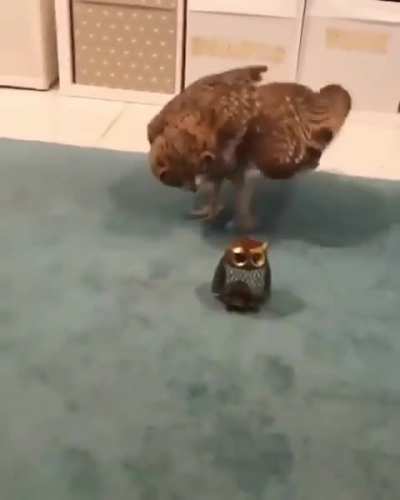 Subda neden bir şey olmuyor