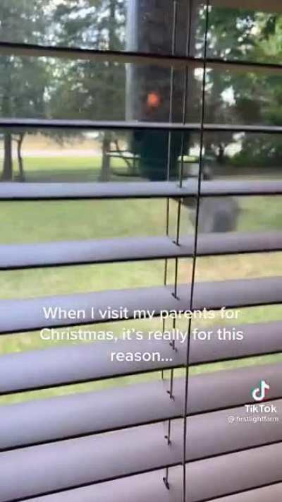 I want whatever that squirrel is smoking