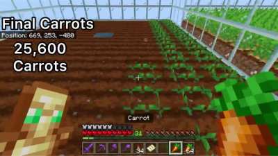 I made a sky-high carrot farm