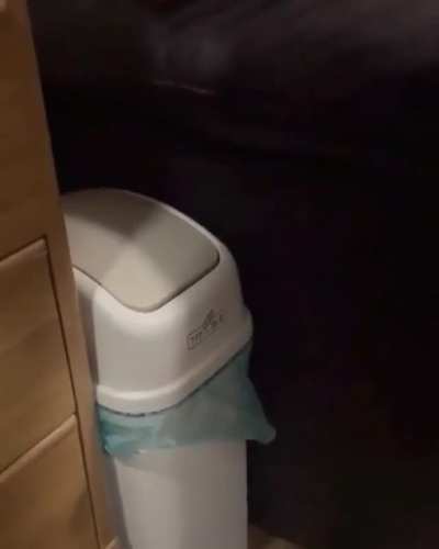 Sat