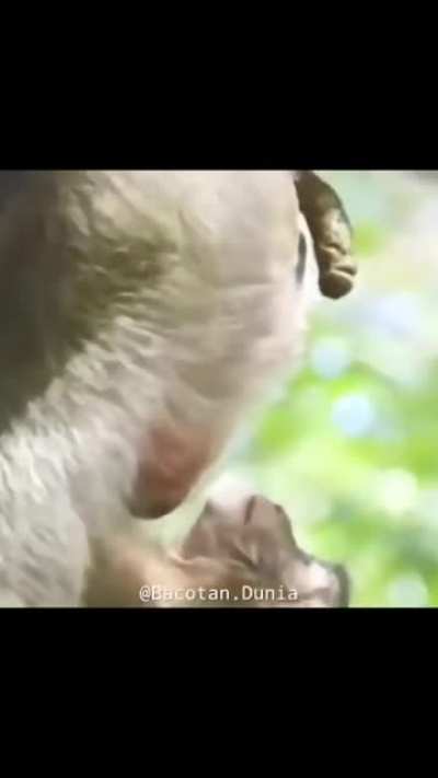 Very Strange Parenting!