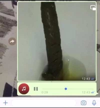 Que isso bento