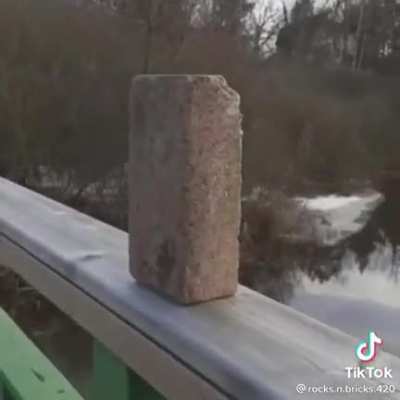brick commits suicide