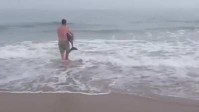 Man saves dolphin on beach.
