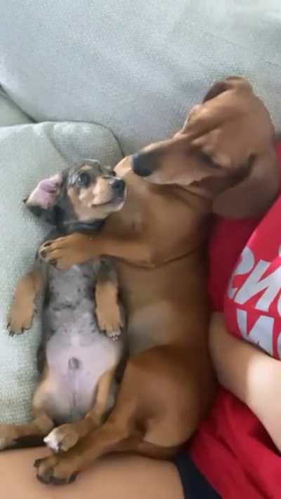 My boys love each other so much 💕