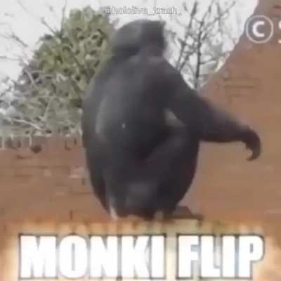 Xd