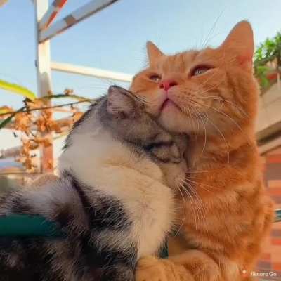 There there...