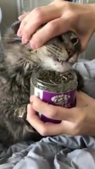 Works as advertised